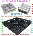 台州做塑料模具 1.4米叉车卡板模具mould