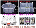 台州模具公司 3000ml快餐盒模具报价