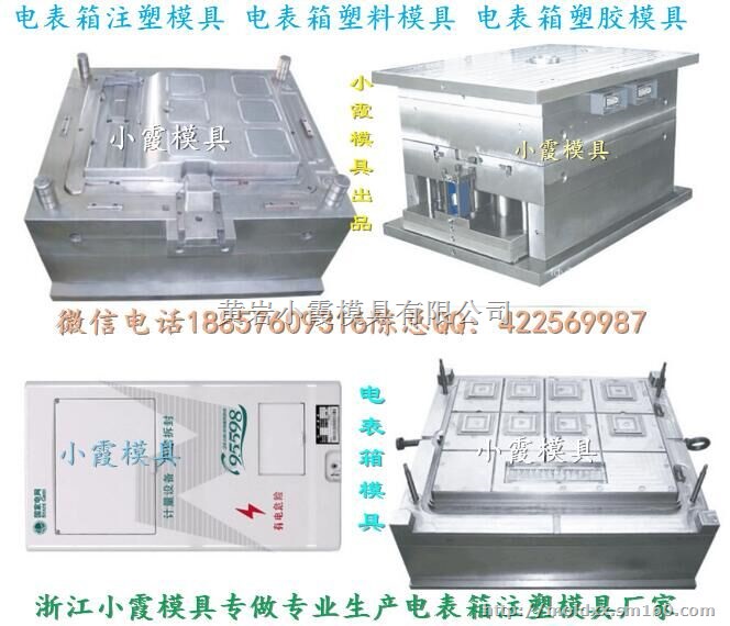 台州模具联系 新国网单相6位电表箱模具我们专业