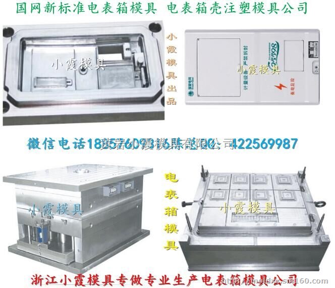 浙江模具热线 新国网单相8位电表箱模具厂家地址