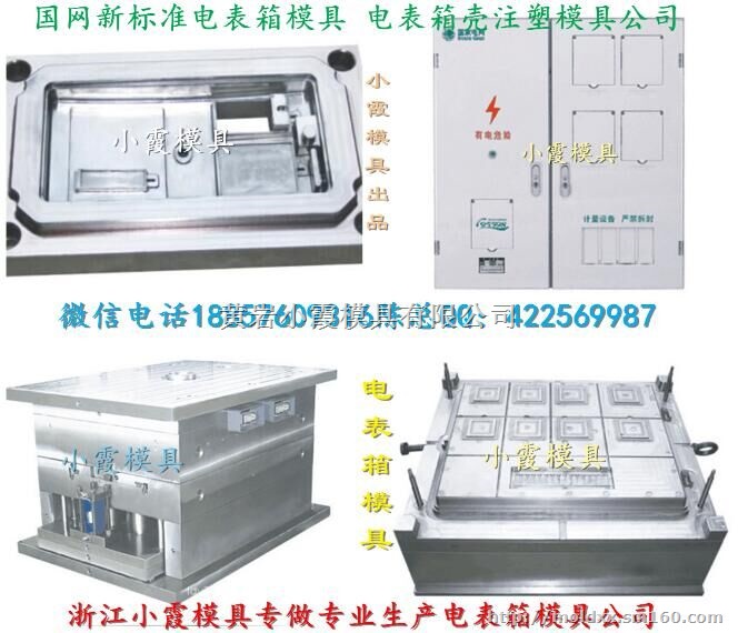 台州模具热线 新国网单相4位电表箱模具生产地址