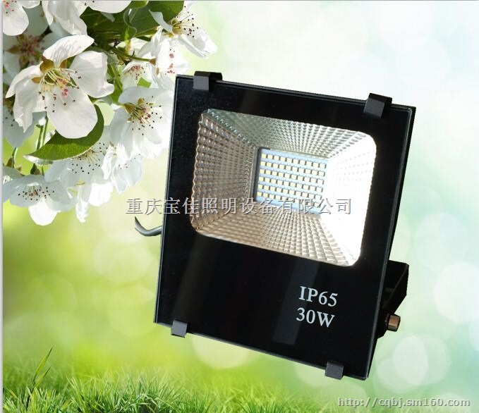 LED 足功率 投光灯 5054贴片 30W