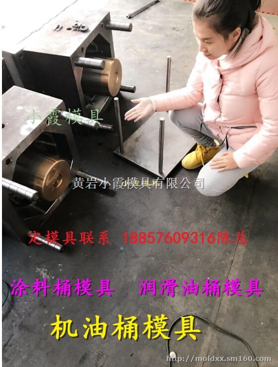 塑胶模具工厂 20L密封包装桶塑料八角模具开模