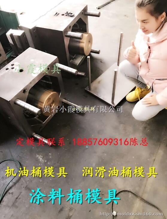 浙江注射模具厂 30升双口润滑油桶模具工厂地址