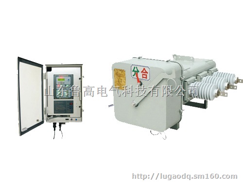 LG-LBS-ASS线路分段器 时间控制自动断路器