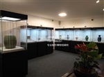 电动遥控推门博物馆展览柜定做，历史收藏品博物馆展柜