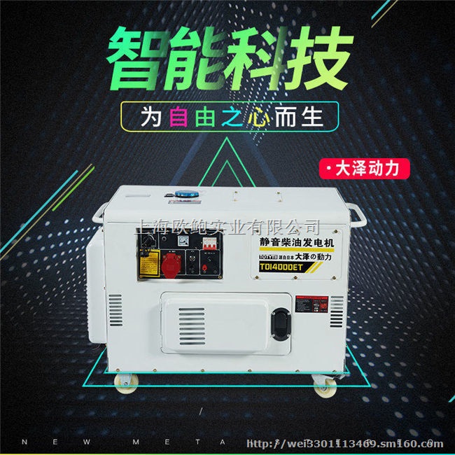 双杠10kw静音柴油发电机报价