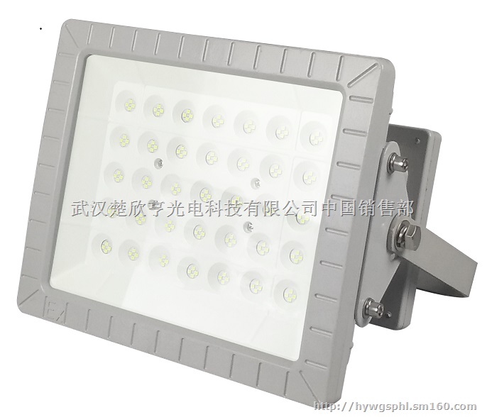 水泥厂LED防爆灯120W 100WLED防爆灯