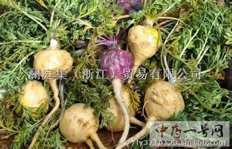 澜庭集卡祖蛹虫草玛咖片好不好代理价格是多少