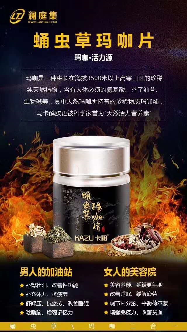 蛹虫草玛咖怎么做代理多少钱