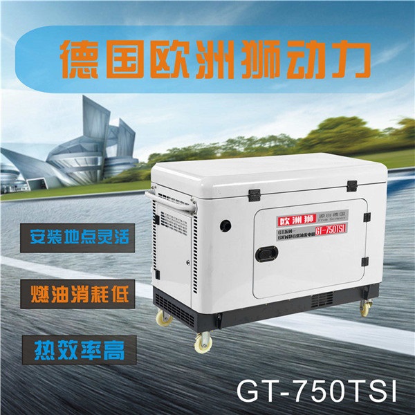 GT-790TSI风冷柴油发电机7KW