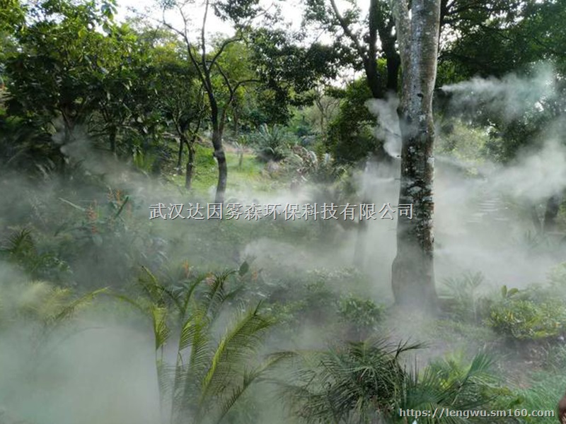 武汉雾森公司-增加植物园的独特性，吸引更多游客前来