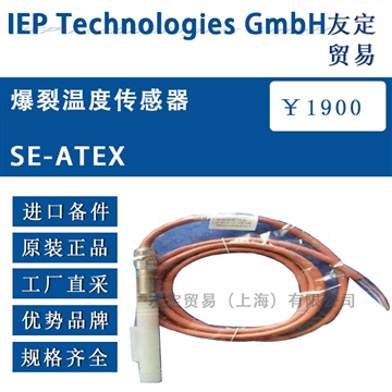 德国IEP Technologies温度传感器