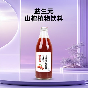 益生元山楂饮品 鲜果打浆酸甜解腻植物饮料300ml