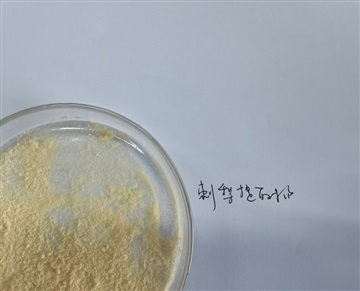 刺梨粉 刺梨提取物供应 SOD20000以上