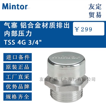 意大利Mintor TSS 4G 3/4"